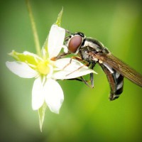 /album/perstackleardi/photolia-a02-jpg/