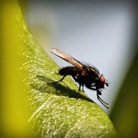 /album/perstackleardi/photolia-a04-jpg/