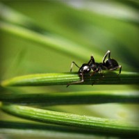 /album/perstackleardi/photolia-a05-jpg/