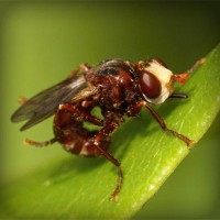 /album/perstackleardi/photolia-a06-jpg/