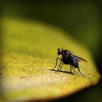 /album/perstackleardi/photolia-a07-jpg/